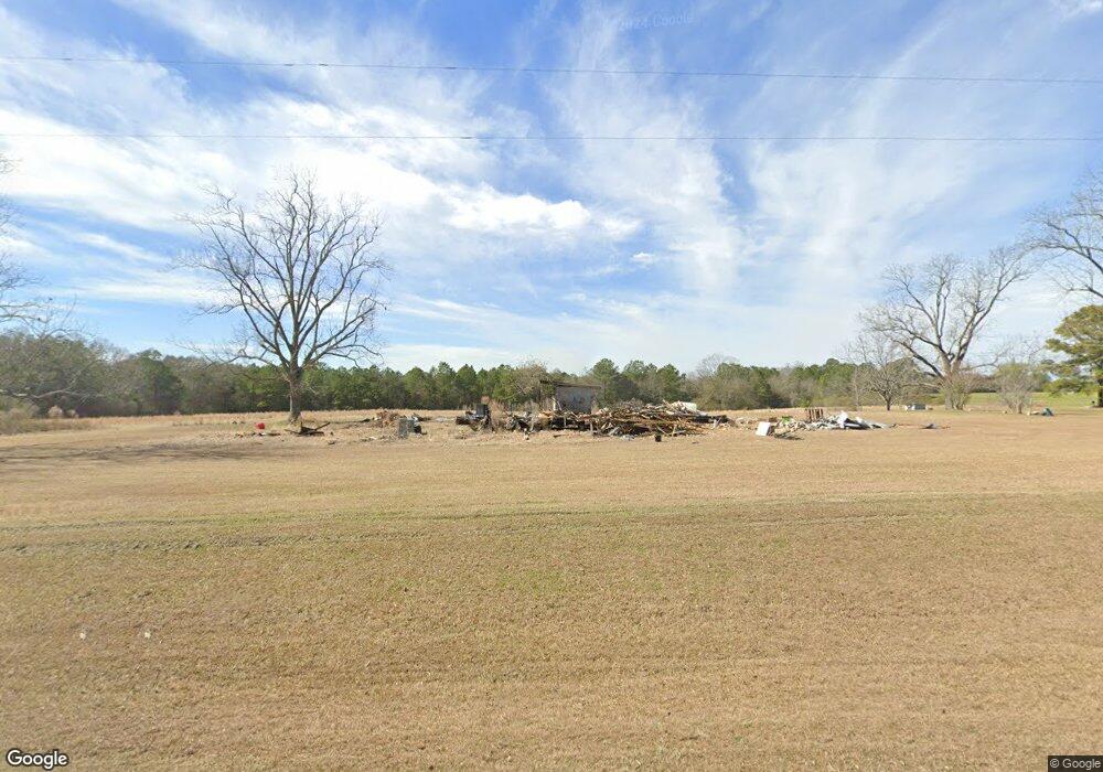 1901 Mitchell County Line Rd, Hartsfield, GA 31756 - photo 1