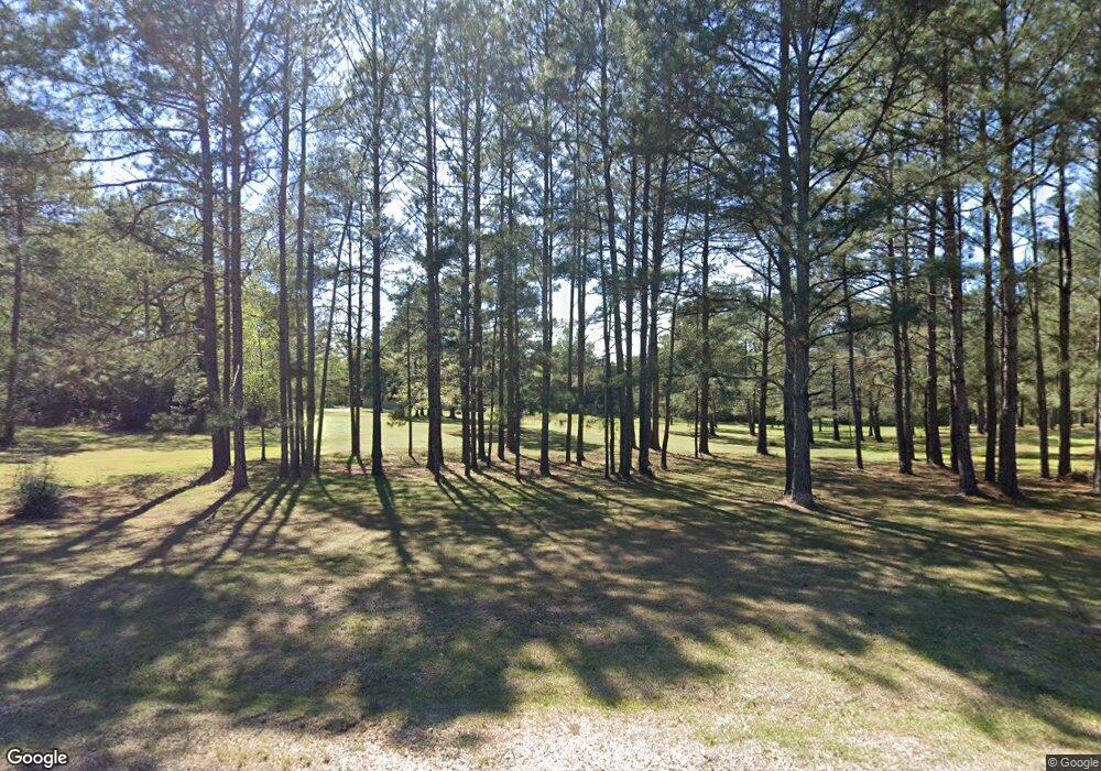 2169 Bala Chitto Rd, Magnolia, MS 39652 - photo 1