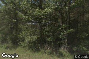763 Old Delhi Rd, Epps, LA 71237