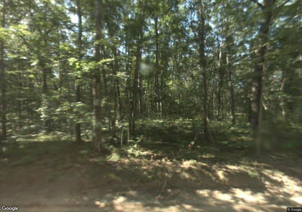 488 Hayes St, Bitely, MI 49309 - photo 1