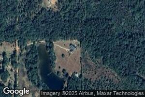 453 Sweet Gum Rd, Silas, AL 36919