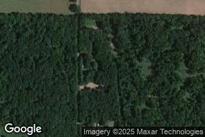7312 N 160th Ave, Walkerville, MI 49459
