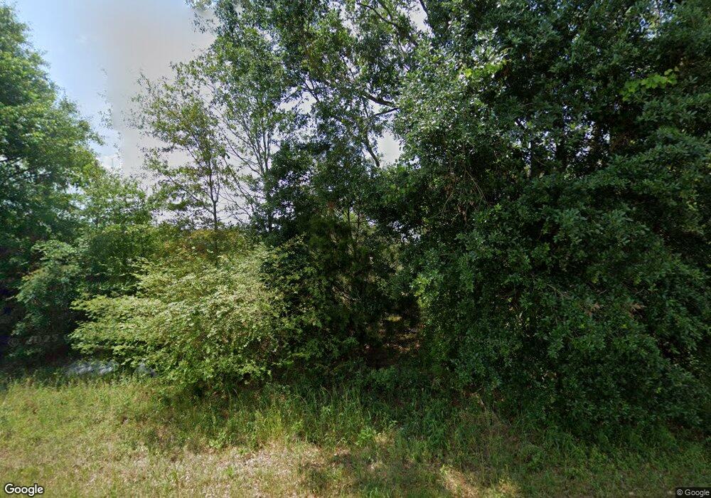 1721 Ernest Pridgen Rd, Wray, GA 31798 - photo 1