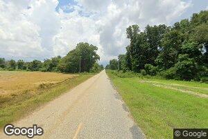 0 County Line Rd Unit 8254107, Elko, GA 31025