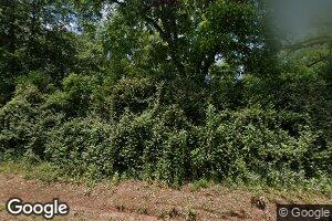 7401 Whitney Camp Rd, Boston, GA 31626