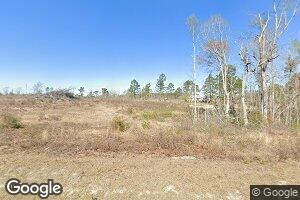 710 Old Garfield Rd, Garfield, GA 30425