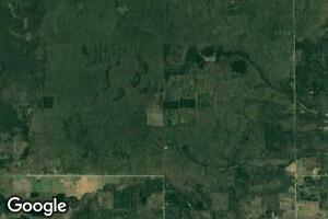 40 A Off Hayes Rd, Curtis, MI 49820