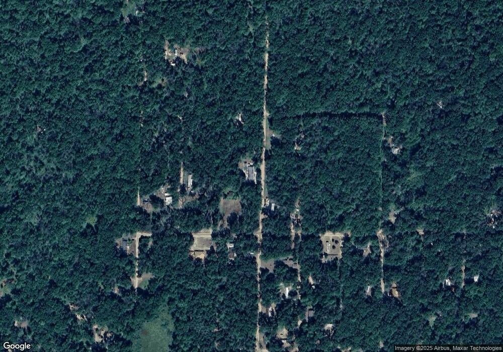 9051 13th Ave, Bitely, MI 49309 - photo 1