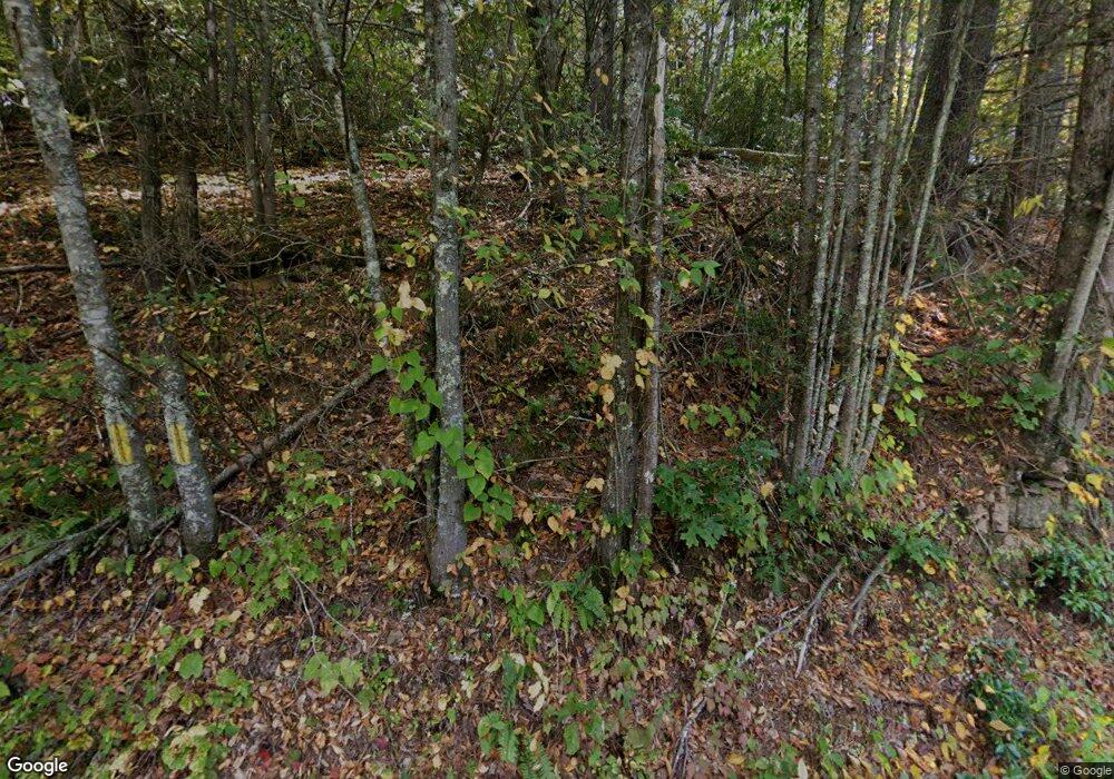 1478 Pedlar River Rd, Vesuvius, VA 24483 - photo 1