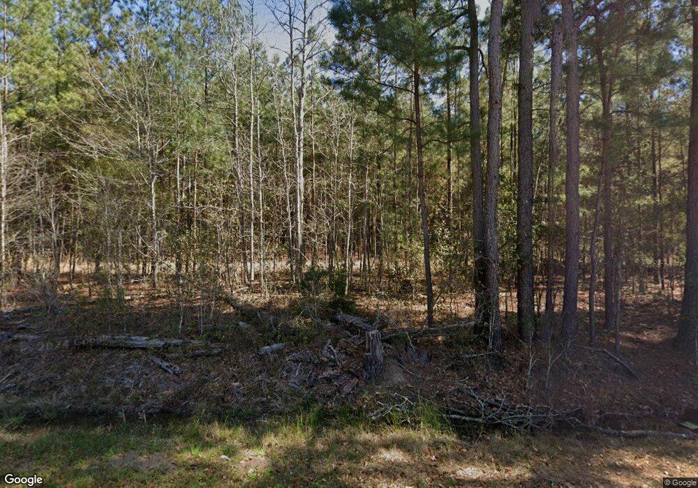 646 Old Metter Hwy, Claxton, GA 30417 - photo 1