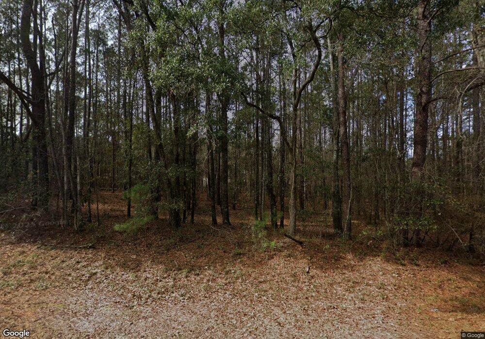 1342 Pine Hill Rd, Cairo, GA 39828 - photo 1