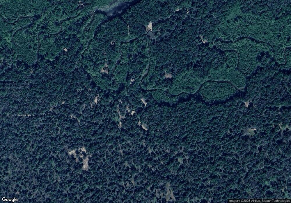 1192 W Lost Trail, Baldwin, MI 49304 - photo 1