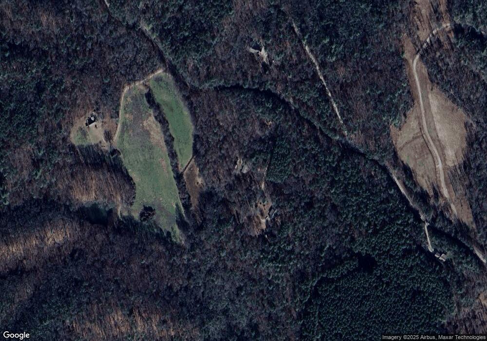 170 Nerve Branch Trail, Clarkesville, GA 30523 - photo 1