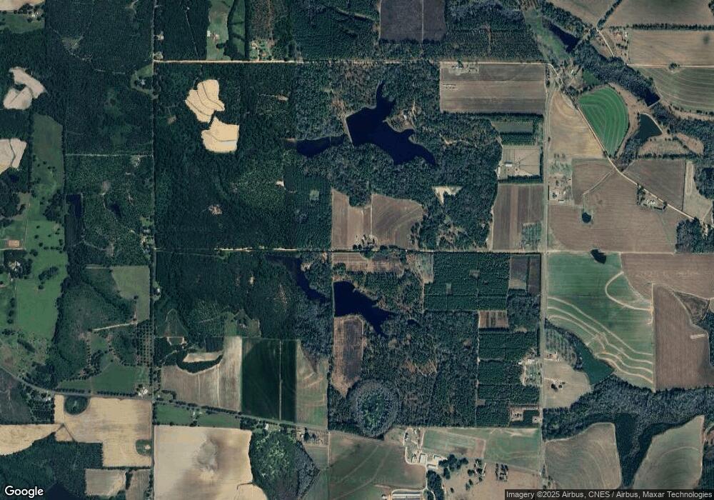 106 Mcclellan Rd, Pelham, GA 31779 - photo 1