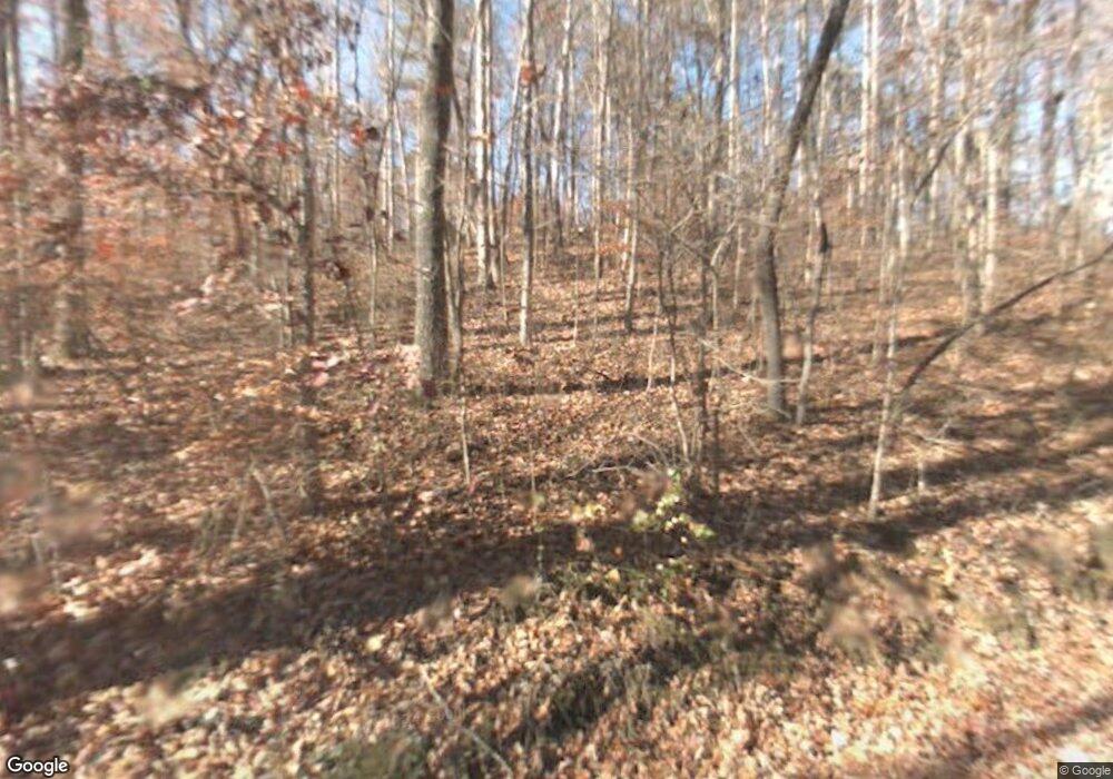 163 Dales Spur, Ellijay, GA 30536 - photo 1