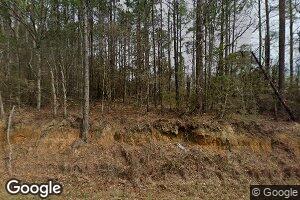 8109 Nall Ingram Rd, Red Level, AL 36474