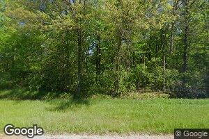20590 W Brady Rd, Elsie, MI 48831