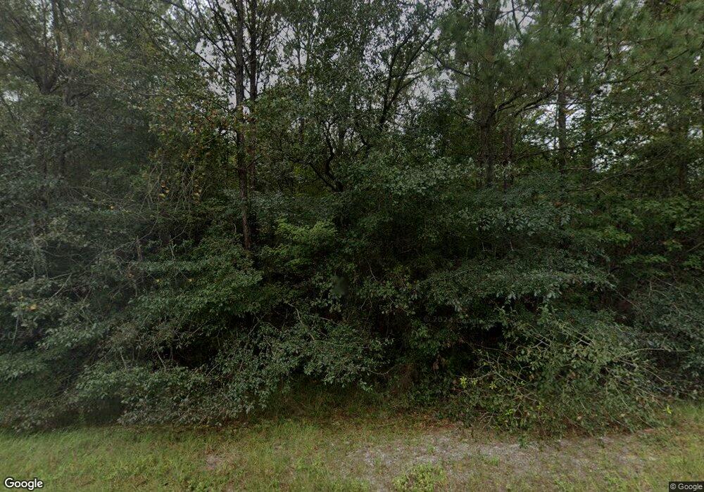 11056 Trudie Rd, Patterson, GA 31557 - photo 1