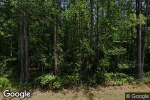 907 Ray Coaker Hwy, Chatom, AL 36518