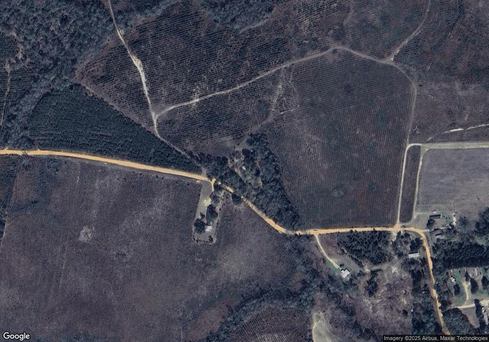 463 Kermit Mann Rd, Lyons, GA 30436 - photo 1