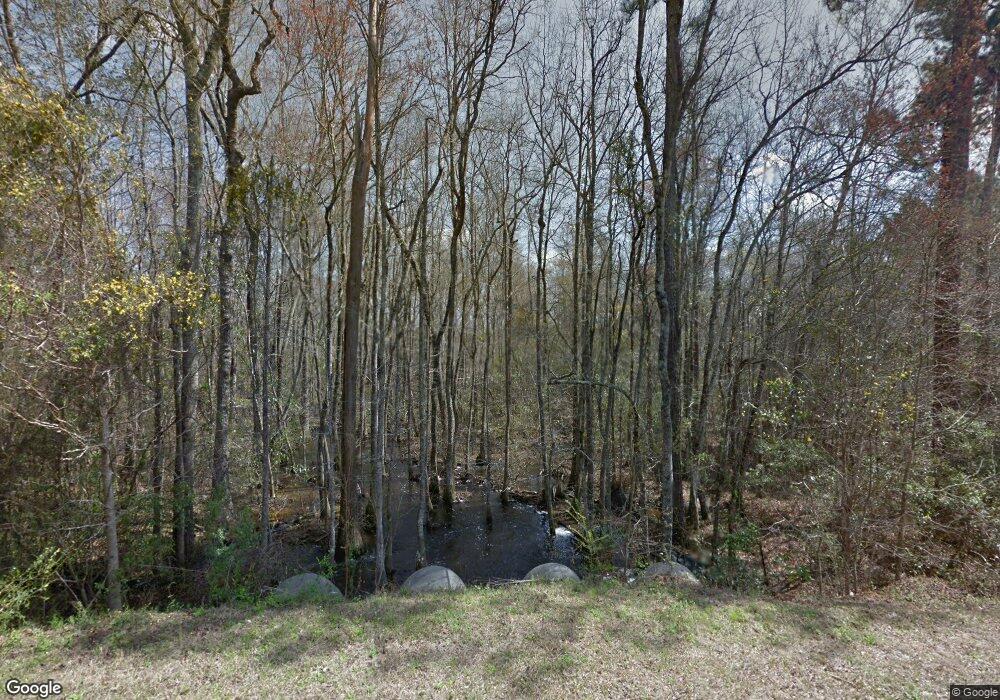 301 Buckhorn Creek Rd, Vidalia, GA 30474 - photo 1