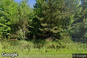 20580 W Burt Rd, Brant, MI 48614