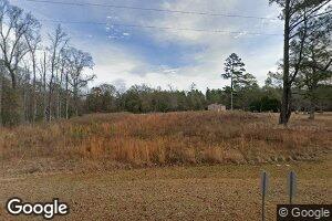 3173 Holton Chapel Rd, Soperton, GA 30457