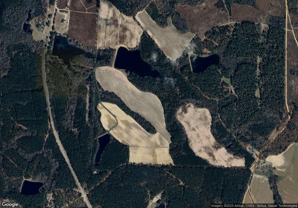 2946 Lanier Rd, Metter, GA 30439 - photo 1