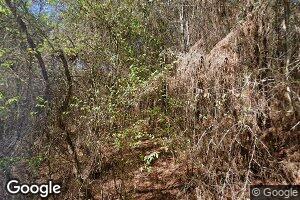 172 Curry Field Rd, Stephens, AR 71764