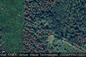 Lot 2 Hobbs Swamp Rd, Parsonsfield, ME 04047