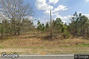 1601 Old Rebie Rd, Chester, GA 31012