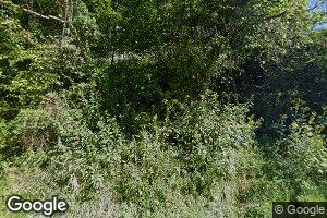 1131 Meadows Branch, Hamlin, WV 25523