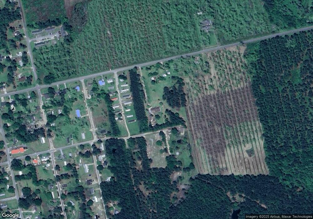 480 Judge Lott Rd, Lenox, GA 31637 - photo 1