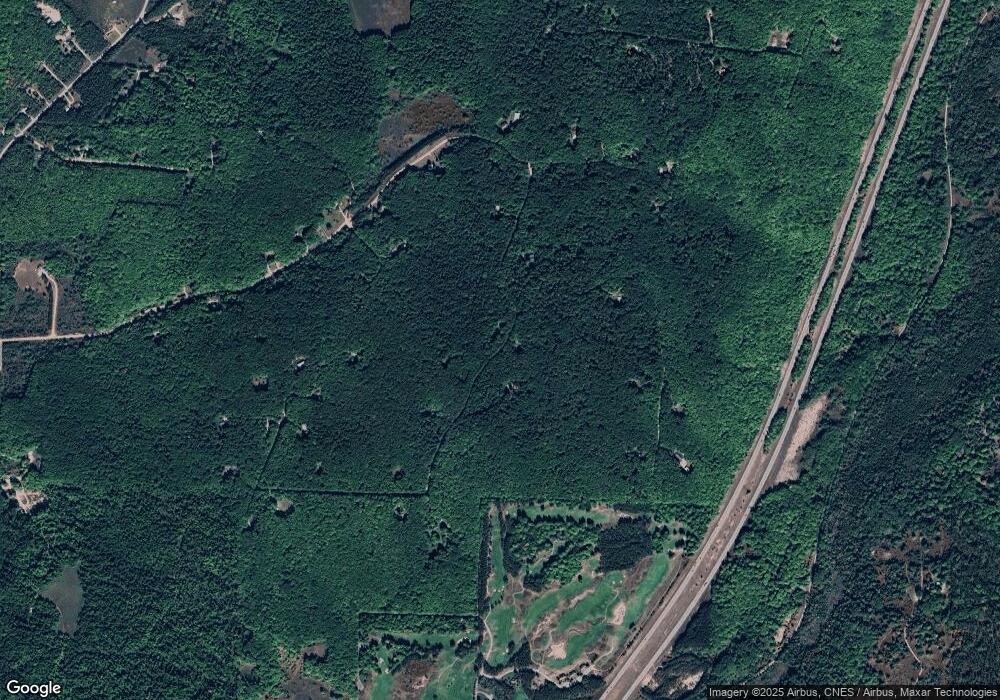 0 White Ash Trail unit 78080028616, Vanderbilt, MI 49795 - photo 1