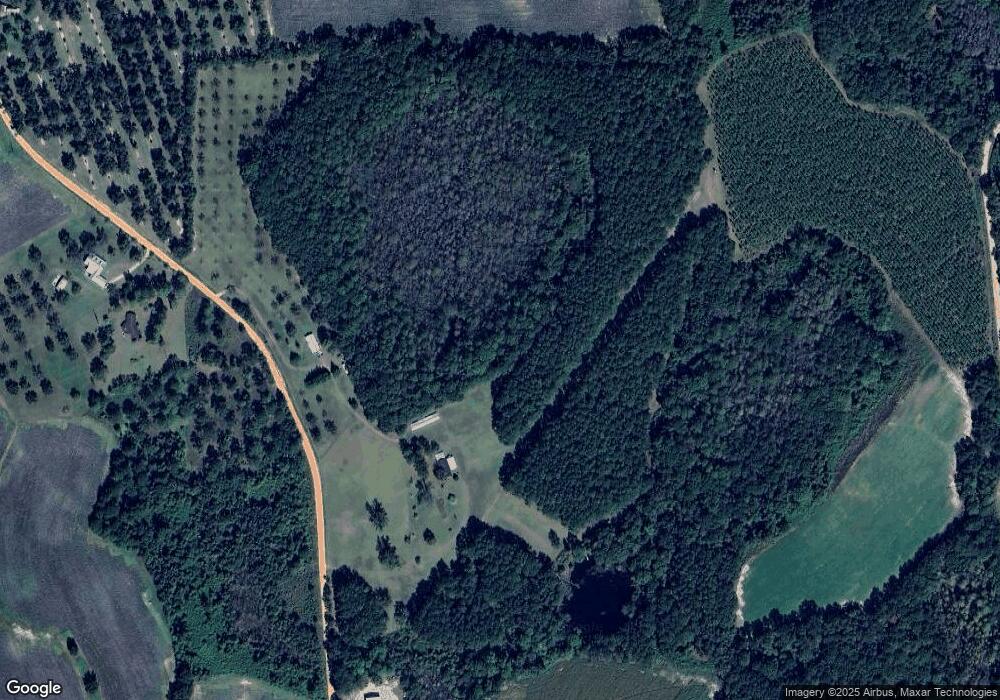 2626 Son Wright Rd, Dixie, GA 31629 - photo 1