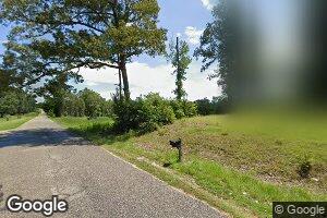249 Old Selma Rd, Pine Hill, AL 36769
