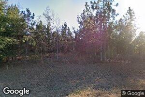 3173 Spring Creek Rd, Brinson, GA 39825