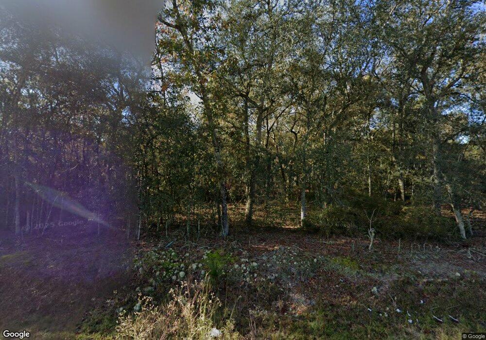 7227 Blue Lake Cir, Blackshear, GA 31516 - photo 1