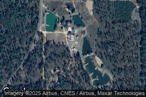 1325 Blackwater Rd, Wing, AL 36483