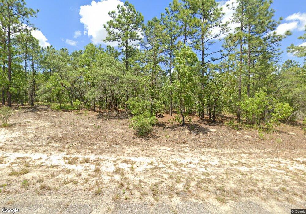 3891 W Hondo Dr, Citrus Springs, FL 34433 - photo 1