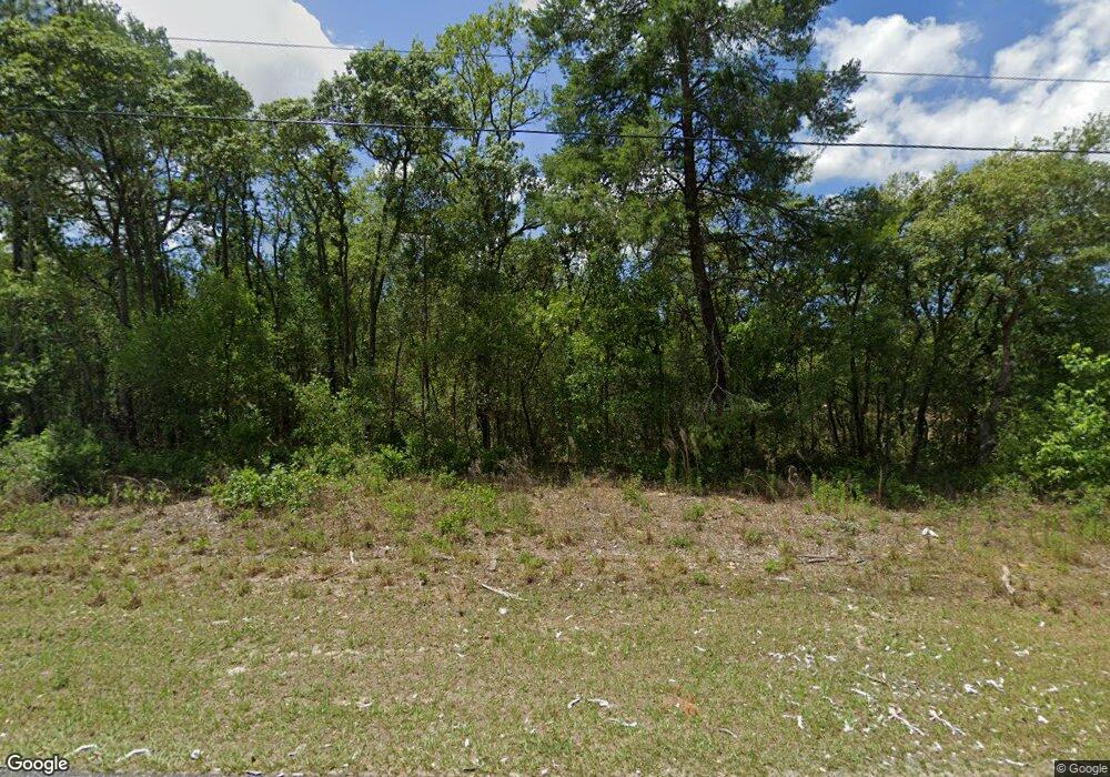 8854 N Paradisea Dr, Citrus Springs, FL 34433 - photo 1