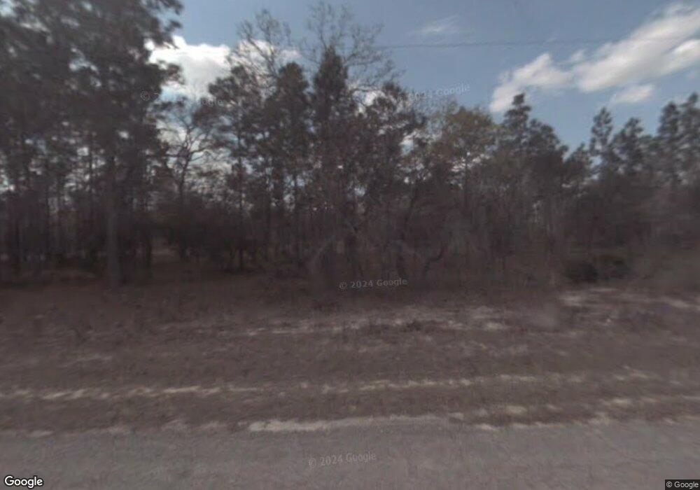 9408 N Paradisea Dr, Citrus Springs, FL 34433 - photo 1