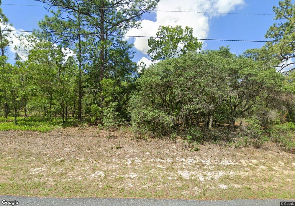 9820 N Paradisea Dr, Citrus Springs, FL 34433 - photo 1