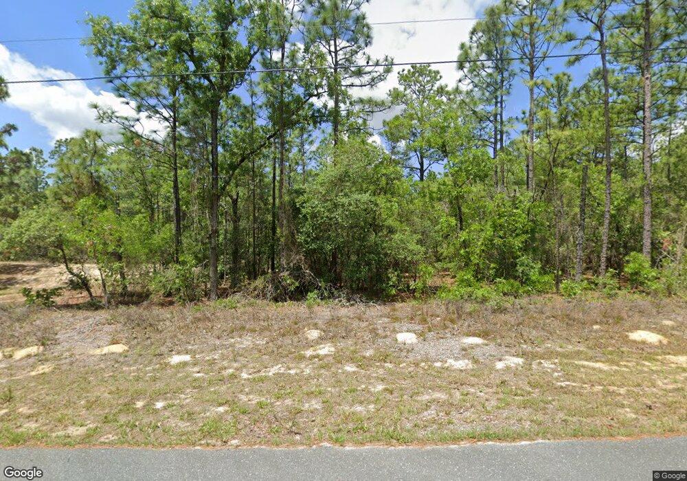 9910 N Paradisea Dr, Citrus Springs, FL 34433 - photo 1