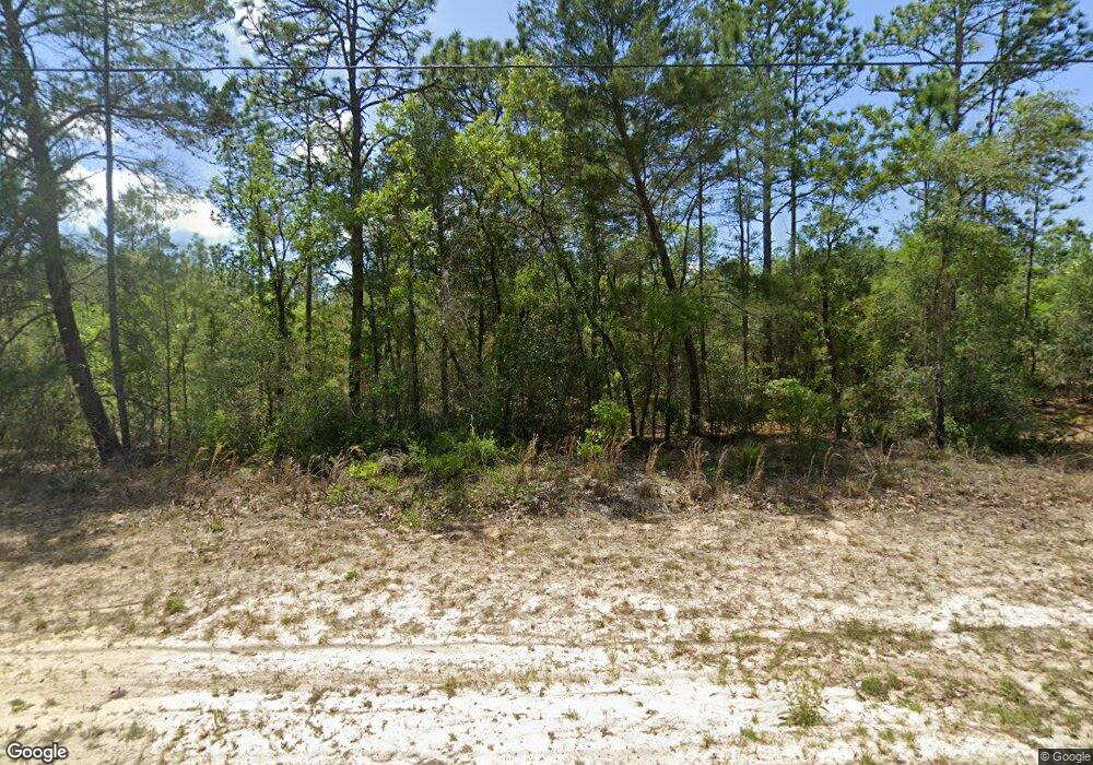 9062 N Paradisea Dr, Citrus Springs, FL 34433 - photo 1