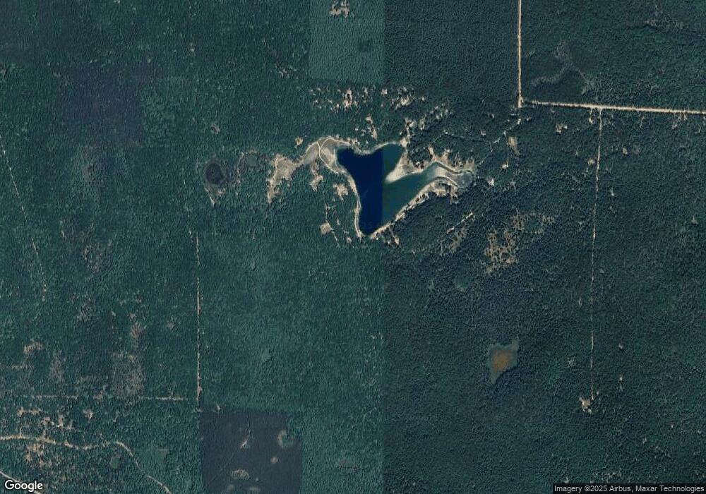 42474261 S Nugent Dr, Baldwin, MI 49304 - photo 1