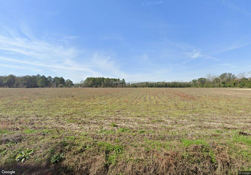 351 John Keigens Memorial Rd, Adel, GA 31620 - photo 1