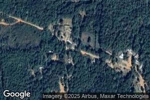 334 Fall Dr, Silas, AL 36919