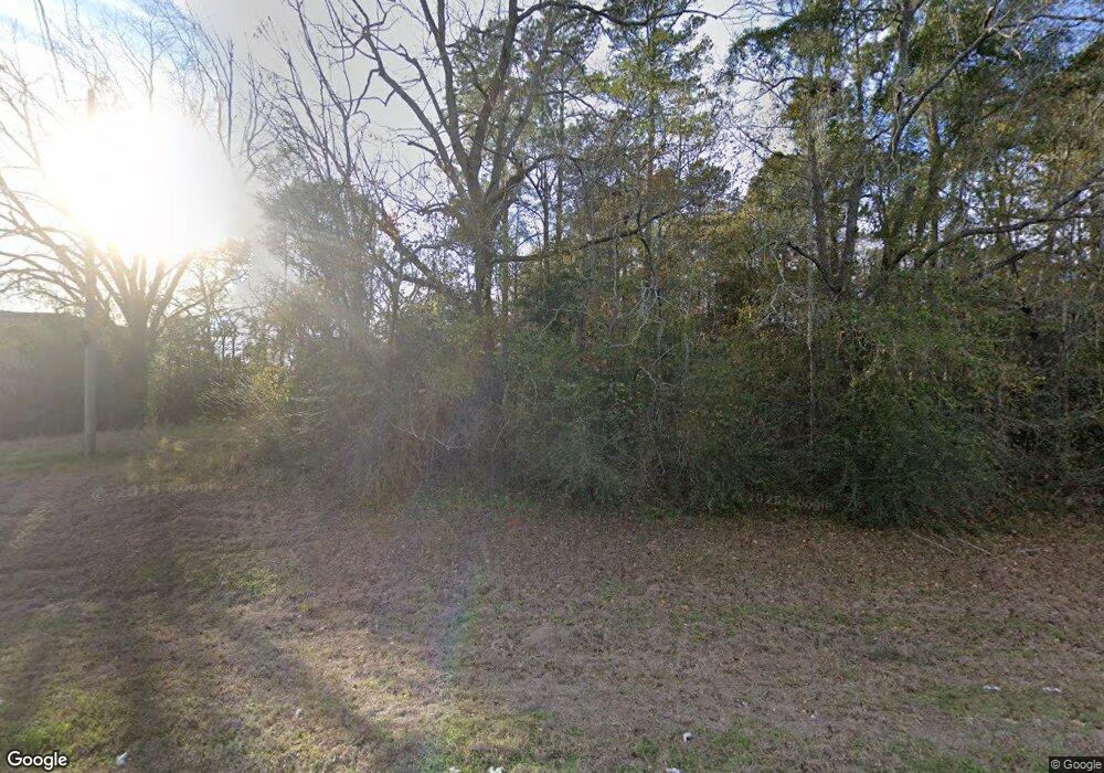 754 Attapulgus Climax Rd, Climax, GA 39834 - photo 1