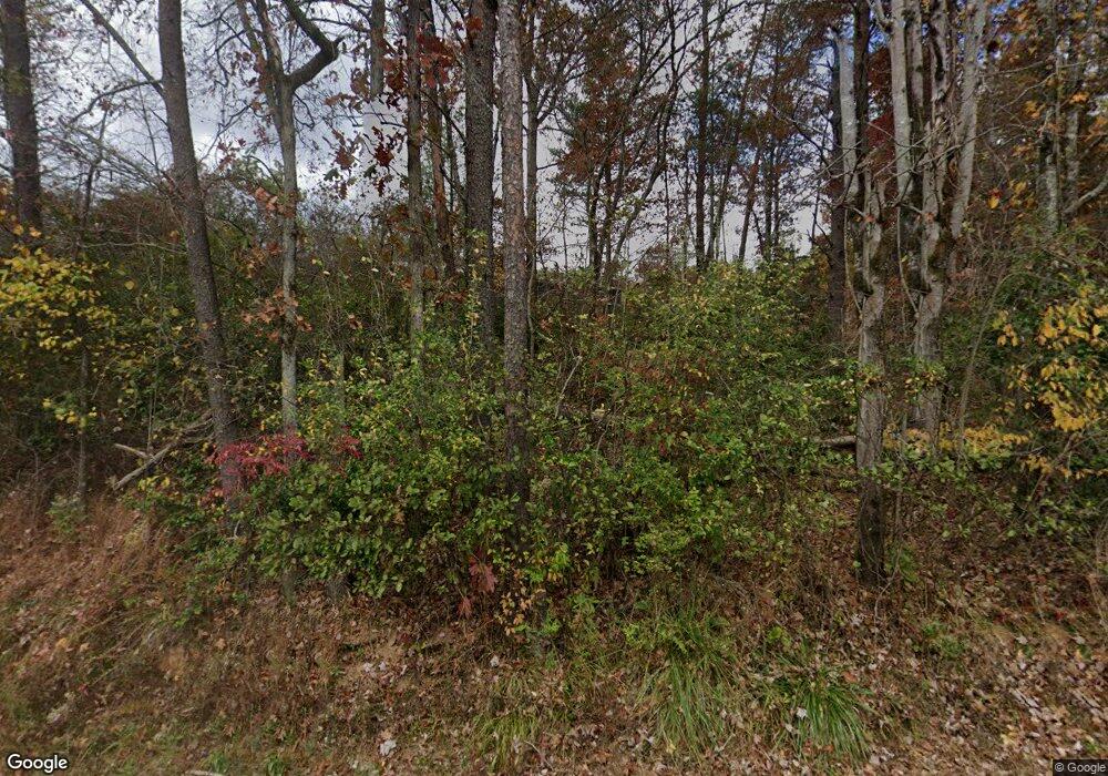 88 Old Quarry Rd, Mineral Bluff, GA 30559 - photo 1